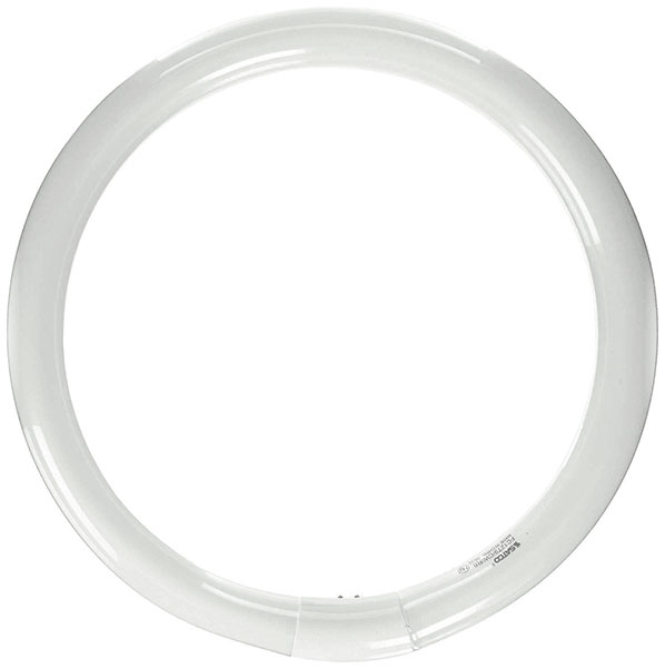 BULB - 32W CIRCLINE CW