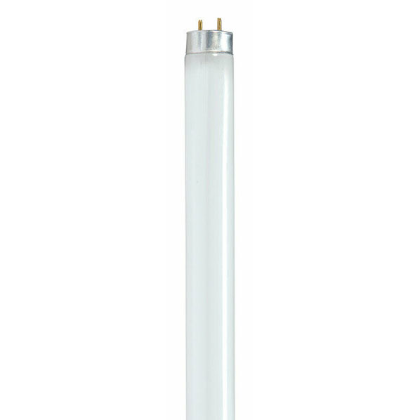 BULB - FLUORESCENT F32T8/830