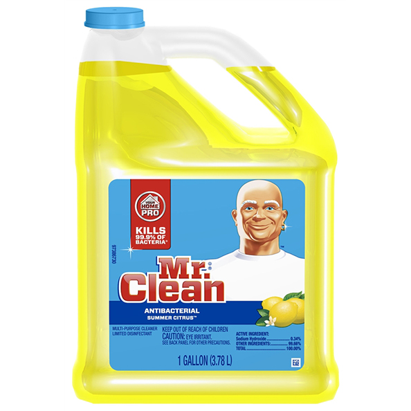 Departments MR. CLEAN CLEAN FREAK 16 OZ.