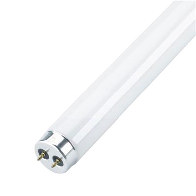 BULB - FLUORESCENT F32T8/865