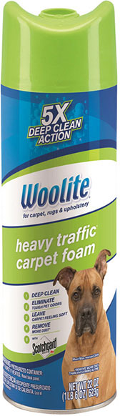 CARPET CLEANER - WOOLITE 22 OZ