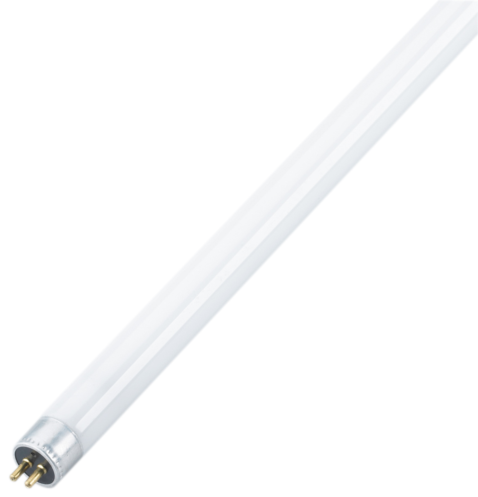 BULB - FLUORESCENT F28T5/841