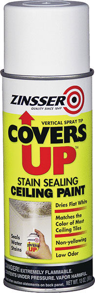 SPRAY PAINT - ZINSSER COVERS UP