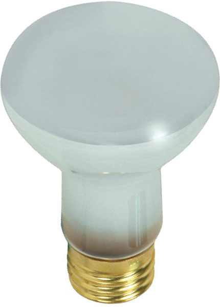 BULB - 100W R20 REFLECTOR