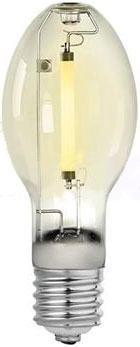 BULB - 150W SODIUM MOGUL BASE