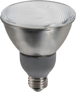 BULB - 15W PAR30 OUTDOOR CFL