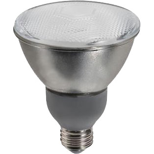 BULB - 15W PAR30 OUTDOOR CFL