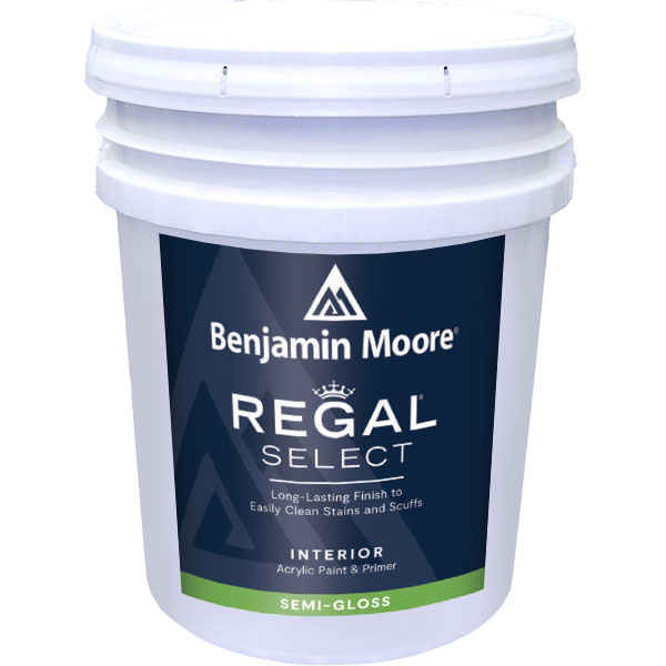 PAINT - BM REGAL SG BASE 1X 5G