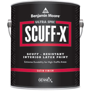 PAINT - BM SCUFF-X SATIN 1X G