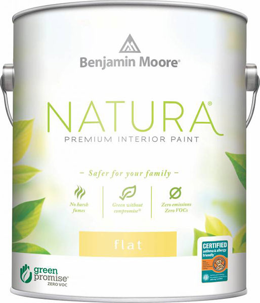 PAINT - BM NATURA FLAT BASE 1X G