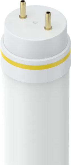 BULB - 12W 4' LED T8 40K P & P