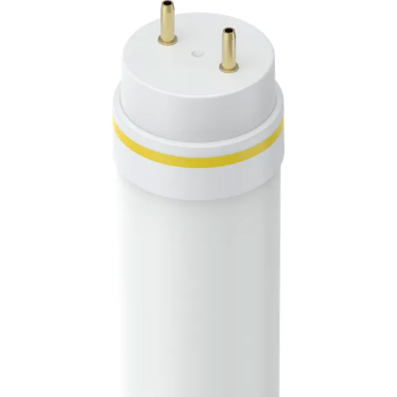 BULB - 12W 4' LED T8 40K P & P