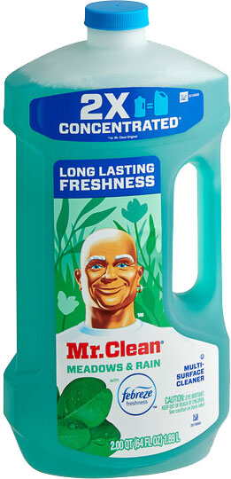 MR. CLEAN - MEADOWS 64 OZ.