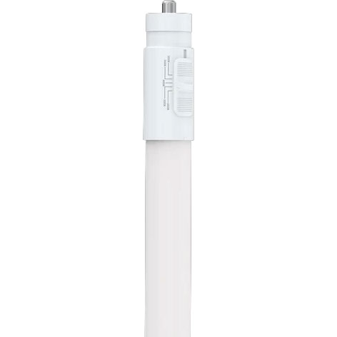 BULB - 8' 40W T8 5CCT FA8 BYPASS