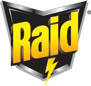 raid 300px