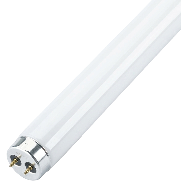 BULB - FLUORESCENT FO32/850-39