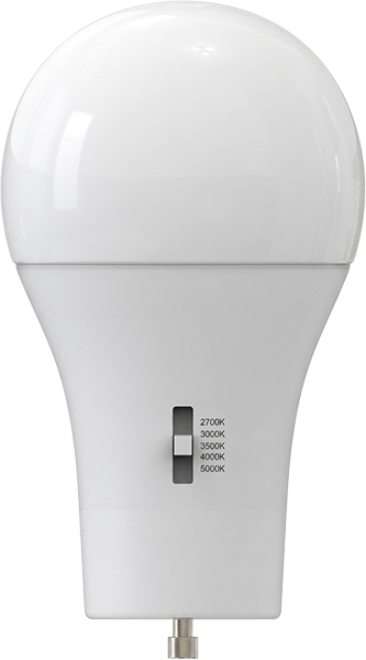BULB - 8W A19 LED GU24 5CCT DIM