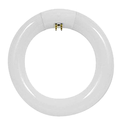 BULB - 22W CIRCLINE DAYLIGHT