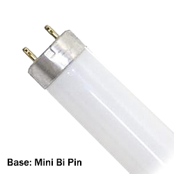 BULB - FLUORESCENT F20T12/841