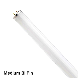 BULB - FLUORESCENT F30T12/841