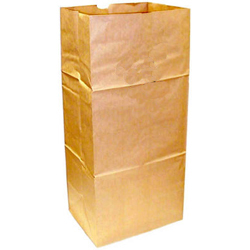 BAGS - LEAF PAPER 30 GAL. PK/5