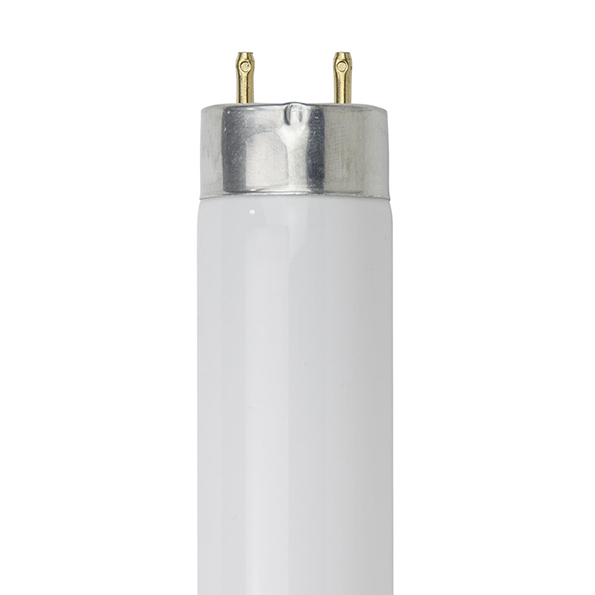 BULB - FLUORESCENT F15T8/841