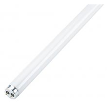 BULB - FLUORESCENT F30T8/841