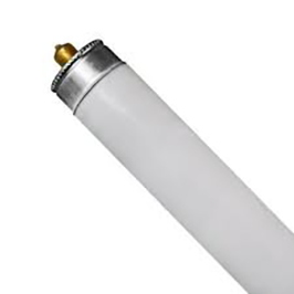 BULB - FLUORESCENT F96T8CW